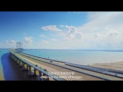 AC220V 50Hz Система определения избыточного веса IP68